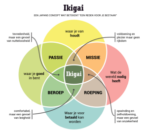 Ikigai overzicht